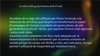 La relació dels grups humans amb el medi
Els arbres de la taiga són utilitzats per l'ésser humà per a la
fabricació de cel·lulosa, que despres es transformarà en paper.
Els paisatges de l'estepa o praderia són grans planes, de sóls
generalment profunds i fèrtils, que soporten hiverns molt rigorosos
i estius molt càlids.
Aquestes zones estepàries són llocs molt adequats per al
desenvolupament de la ramaderia i per al conrreu extensiu de
cereals perquè els camps són fèrtilsi, a més, són molt plans, fet que
permet l utilització de maquinària per treballarel terra.
 