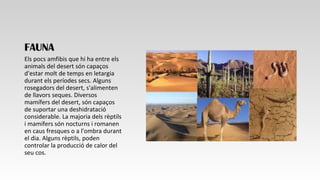 FAUNA
Els pocs amfibis que hi ha entre els
animals del desert són capaços
d'estar molt de temps en letargia
durant els períodes secs. Alguns
rosegadors del desert, s'alimenten
de llavors seques. Diversos
mamífers del desert, són capaços
de suportar una deshidratació
considerable. La majoria dels rèptils
i mamífers són nocturns i romanen
en caus fresques o a l'ombra durant
el dia. Alguns rèptils, poden
controlar la producció de calor del
seu cos.
 