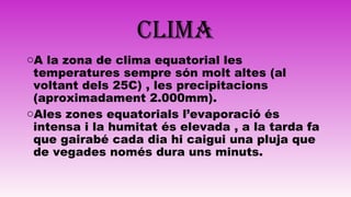 CLIMA
oA la zona de clima equatorial les
temperatures sempre són molt altes (al
voltant dels 25C) , les precipitacions
(aproximadament 2.000mm).
oAles zones equatorials l’evaporació és
intensa i la humitat és elevada , a la tarda fa
que gairabé cada dia hi caigui una pluja que
de vegades només dura uns minuts.
 