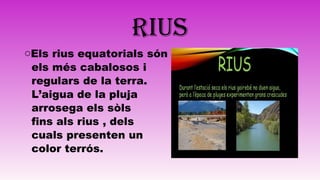 RIUS
oEls rius equatorials són
els més cabalosos i
regulars de la terra.
L’aigua de la pluja
arrosega els sòls
fins als rius , dels
cuals presenten un
color terrós.
 