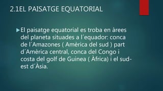 2.1EL PAISATGE EQUATORIAL
El paisatge equatorial es troba en àrees
del planeta situades a l´equador: conca
de l´Amazones ( Amèrica del sud ) part
d´Amèrica central, conca del Congo i
costa del golf de Guinea ( Àfrica) i el sud-
est d´Àsia.
 