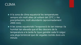 CLIMA
 A la zona de clima equatorial les temperatures
sempre són molt altes (al voltant del 25ºC ) i les
precipitacions, molt abundants (aproximadament
2000 mm).
 A les zones equatorials l´evaporació és tan intensa i la
humitat tan elevada que el lleu descens de la
temperatura a la tarda fa 1que gairebé cada hi caigui
una pluja torrencial que de vegades només dura uns
minuts
 