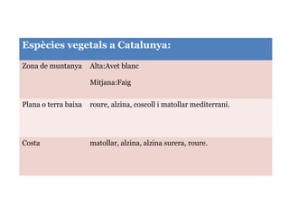 Espècies vegetals a Catalunya:
Zona de muntanya Alta:Avet blanc
Mitjana:Faig
Plana o terra baixa roure, alzina, coscoll i matollar mediterrani.
Costa matollar, alzina, alzina surera, roure.
 