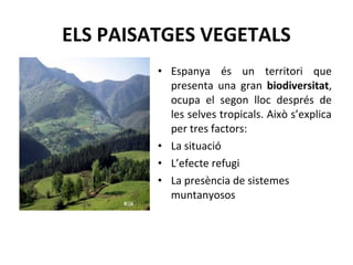 ELS PAISATGES VEGETALS
• Espanya és un territori que
presenta una gran biodiversitat,
ocupa el segon lloc després de
les selves tropicals. Això s’explica
per tres factors:
• La situació
• L’efecte refugi
• La presència de sistemes
muntanyosos
 