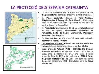 LA PROTECCIÓ DELS ESPAIS A CATALUNYA
• El 1985 el Parlament de Catalunya va aprovar la Llei
d’Espais Naturals per tal de preservar el medi ambient .
• Els Parcs Nacionals, Destaca El Parc Nacional
d’Aigüestortes i Estany de Sant Maurici, l’únic parc
nacional de Catalunya. Està cogestionat pel ministeri de
medi ambient i la Generalitat.
• Els Parcs Naturals, Catalunya té 11 parcs naturals entre
els que destaquen: Cadí-Moixeró, Aiguamolls de
l’Empordà, Delta de l’Ebre, Montserrat, Montseny,
Montsant, Cap de Creus.
• Els Paratges Naturals, Catalunya té 3 paratges naturals:
Pedraforca, Poblet, l’Albera.
• Les Reserves Naturals, Reserva Natural del Delta del
Llobregat. I com a reserves marines, les Illes Medes.
• Espais d’Interès Natural –PEIN- : El PEIN o Pla d’Espais
d’Interès Natural va ser aprovat a partir de la llei de
1985, amb la intenció de crear una xarxa d’espais
protegits. Dins del PEIN estan incloses les ZEPA ( Zones
d’Especial Protecció de les Aus) així com les zones
d’especial conservació ZEC, delimitades dins la Xarxa
Natura 2000
 