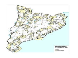 Paisatge i medi ambient