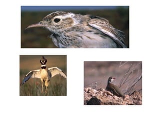 Paisatge i medi ambient