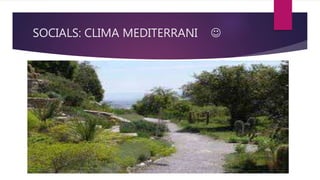 SOCIALS: CLIMA MEDITERRANI 
 