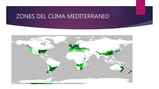ZONES DEL CLIMA MEDITERRANI
 