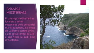 PAISATGE
MEDITERRANI
El paisatge mediterrani es
localitza a zones
costaneres de la conca del
mar Mediterrani, a la costa
de California (Estats Units
), a la costa central de Xile ,
a Sud África i al sud –oest
d ‘Australia .
 