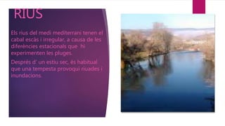 RIUS
Els rius del medi mediterrani tenen el
cabal escàs i irregular, a causa de les
diferències estacionals que hi
experimenten les pluges.
Després d’ un estiu sec, és habitual
que una tempesta provoqui riuades i
inundacions.
 