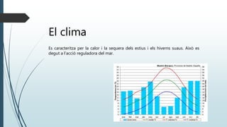 El clima
Es caracteritza per la calor i la sequera dels estius i els hiverns suaus. Això es
degut a l’acció reguladora del mar.
 