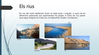 Els rius
Els rius del medi mediterrani tenen el cabal escàs i irregular, a causa de les
diferències estacionals que experimenten les pluges. A l’estiu els rius porten
poca aigua. Després d’un estiu sec, és habitual les riuades i inundacions.
Xúquer
Llobregat
Ebre
Nil
 