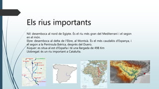 Els rius importants
Nil: desemboca al nord de Egipte. És el riu més gran del Mediterrani i el segon
en el món.
Ebre: desemboca al delta de l’Ebre, al Montsià. És el més caudalós d’Espanya, i
el segon a la Península Ibérica, després del Duero.
Xúquer: es situa al est d’España i té una llargada de 498 Km
Llobregat: és un riu important a Cataluña.
 