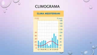 CLIMOGRAMA
 