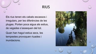 RIUS
Els rius tenen els cabals escassos i
irregulars, per les diferències de les
pluges. Porten poca aigua als estius,
de vegades s’assequen del tot.
Quan han hagut estius secs, les
tempestes provoquen riuades i
inundacions.
 