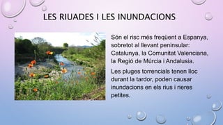 LES RIUADES I LES INUNDACIONS
Són el risc més freqüent a Espanya,
sobretot al llevant peninsular:
Catalunya, la Comunitat Valenciana,
la Regió de Múrcia i Andalusia.
Les pluges torrencials tenen lloc
durant la tardor, poden causar
inundacions en els rius i rieres
petites.
 