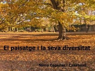 Núria Capellas i Casabayó El paisatge i la seva diversitat 