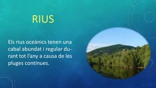Els rius oceànics tenen una
cabal abundat i regular du-
rant tot l’any a causa de les
pluges contínues.
RIUS
 