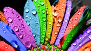 Paisatge oceànic 1 b