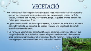VEGETACIÓ
A la vegetació les temperaturas són suaus i les pluges constants i abundants
que permeten que als paisatges oceanics es desenvolupin boscos de fulla
caduca, formats per roures, castanyers, faigs... Aquests arbres perden les
fulles quan comença el fred.
Quan en una zona hi ha boires persistents, la humitat és molt alta o els vents
són molt violents, en comptes de boscos hi creix una vegetació de matoll
espinós anomenada landa.
La formació vegetal més característica del paisatge oceanic és el prat, que
sorgeix després de la tala dels boscos els prats troben en el clima oceanic
unes condicions optimes per al creixement (molta humitat, temperatures
suaus) proporcionen una alimentació natural al bestiar.
 
