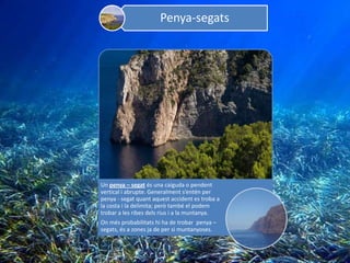 Penya-segats




Un penya – segat és una caiguda o pendent
vertical i abrupte. Generalment s’entén per
penya - segat quant aquest accident es troba a
la costa i la delimita; però també el podem
trobar a les ribes dels rius i a la muntanya.
On més probabilitats hi ha de trobar penya –
segats, és a zones ja de per si muntanyoses.
 