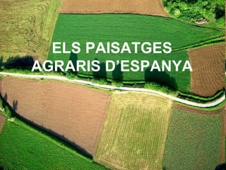 ELS PAISATGES
AGRARIS D’ESPANYA
 