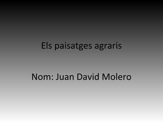 Els paisatges agraris
Nom: Juan David Molero
 
