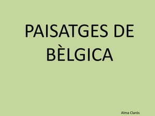 PAISATGES DE
  BÈLGICA

          Alma Clarós
 
