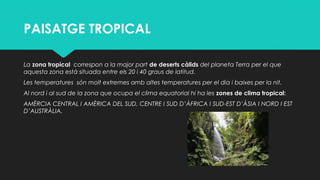 PAISATGE TROPICAL
La zona tropical correspon a la major part de deserts càlids del planeta Terra per el que
aquesta zona està situada entre els 20 i 40 graus de latitud.
Les temperatures són molt extremes amb altes temperatures per el dia i baixes per la nit.
Al nord i al sud de la zona que ocupa el clima equatorial hi ha les zones de clima tropical:
AMÈRCIA CENTRAL I AMÈRICA DEL SUD, CENTRE I SUD D’ÀFRICA I SUD-EST D’ÀSIA I NORD I EST
D’AUSTRÀLIA.
 