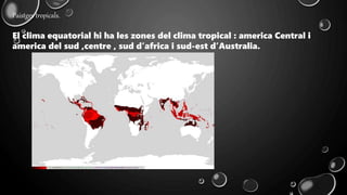 Paistges tropicals.
El clima equatorial hi ha les zones del clima tropical : america Central i
america del sud ,centre , sud d’africa i sud-est d’Australia.
 
