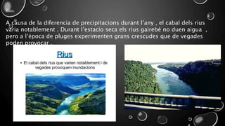 Rius.
A causa de la diferencia de precipitacions durant l’any , el cabal dels rius
varia notablement . Durant l’estacio seca els rius gairebé no duen aigua ,
pero a l’época de pluges experimenten grans crescudes que de vegades
poden provocar .
 