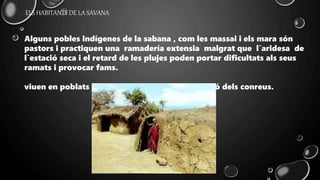 Alguns pobles indígenes de la sabana , com les massai i els mara són
pastors i practiquen una ramadería extensia malgrat que l`aridesa de
l`estació seca i el retard de les plujes poden portar dificultats als seus
ramats i provocar fams.
viuen en poblats estables i practiquen una rotació dels conreus.
ELS HABITANTS DE LA SAVANA
 