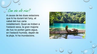 Com són els rius?
A causa de les dues estacions
que hi ha durant tot l’any, el
cabal del rius varia
notablement. Quan es troben a
l’estació seca, la gran majoria
de rius no porten gaire aigua,
en l’estació humida, depèn de
la pluja, hi ha inundacions.
 