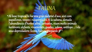 -FAUNA
•Al bosc tropical hi ha una gran varietat d'aus, així com
papallones, vespes i ratapinyades. A la sabana, donada
l'abundància d'herbes altes i arbustos, viuen molts animals
herbívors: elefants, rinoceronts, gaseles, zebres, antílops ... i els
seus depredadors: lleons, hienes, guepards ...
 