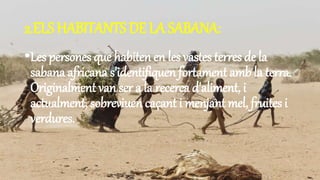 2.ELS HABITANTS DE LA SABANA:
•Les persones que habiten en les vastes terres de la
sabana africana s'identifiquen fortament amb la terra.
Originalment van ser a la recerca d'aliment, i
actualment, sobreviuen caçant i menjant mel, fruites i
verdures.
 