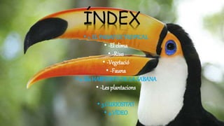 ÍNDEX
• 1. EL PAISATGE TROPICAL
• -El clima
• -Rius
• -Vegetació
• -Fauna
• 2. Els HABITANTS DE LA SABANA
• -Les plantacions
• 3.CURIOSITAT
• 4.VÍDEO
 