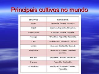 Principais cultivos no mundo 