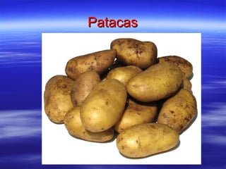 Patacas 