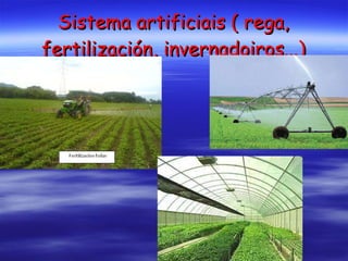 Sistema artificiais ( rega, fertilización, invernadoiros...) 