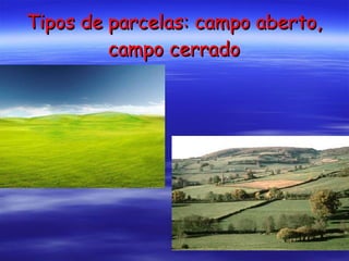 Tipos de parcelas: campo aberto, campo cerrado 