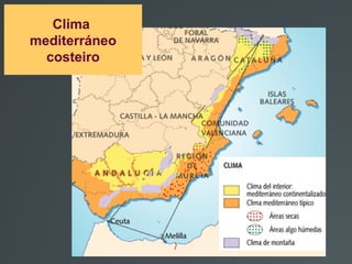 Clima
mediterráneo
costeiro
 