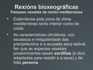 Rexións bioxeográficas
Paisaxes vexetais da rexión mediterránea

Esténdense pola zona de clima
mediterráneo tanto interior como de
costa.

As características climáticas, con
escaseza e irregularidade das
precipitacións e a acusada seca estival,
fan que as especies vexetais
predominantes sexan xerófilas (é dicir,
adaptadas para resistir a a seca) y de
folla perenne
 