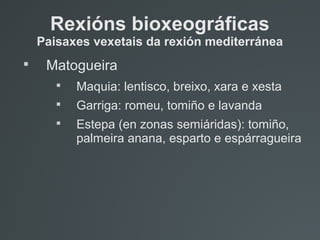 
Matogueira

Maquia: lentisco, breixo, xara e xesta

Garriga: romeu, tomiño e lavanda

Estepa (en zonas semiáridas): tomiño,
palmeira anana, esparto e espárragueira
Rexións bioxeográficas
Paisaxes vexetais da rexión mediterránea
 