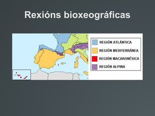 Rexións bioxeográficas
 