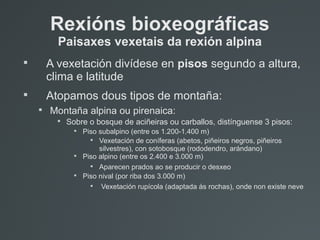 Rexións bioxeográficas
Paisaxes vexetais da rexión alpina

A vexetación divídese en pisos segundo a altura,
clima e latitude

Atopamos dous tipos de montaña:

Montaña alpina ou pirenaica:

Sobre o bosque de aciñeiras ou carballos, distínguense 3 pisos:

Piso subalpino (entre os 1.200-1.400 m)

Vexetación de coníferas (abetos, piñeiros negros, piñeiros
silvestres), con sotobosque (rododendro, arándano)

Piso alpino (entre os 2.400 e 3.000 m)

Aparecen prados ao se producir o desxeo

Piso nival (por riba dos 3.000 m)

Vexetación rupícola (adaptada ás rochas), onde non existe neve
 