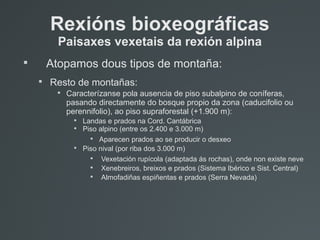Rexións bioxeográficas
Paisaxes vexetais da rexión alpina

Atopamos dous tipos de montaña:

Resto de montañas:

Caracterízanse pola ausencia de piso subalpino de coníferas,
pasando directamente do bosque propio da zona (caducifolio ou
perennifolio), ao piso supraforestal (+1.900 m):

Landas e prados na Cord. Cantábrica

Piso alpino (entre os 2.400 e 3.000 m)

Aparecen prados ao se producir o desxeo

Piso nival (por riba dos 3.000 m)

Vexetación rupícola (adaptada ás rochas), onde non existe neve

Xenebreiros, breixos e prados (Sistema Ibérico e Sist. Central)

Almofadiñas espiñentas e prados (Serra Nevada)
 