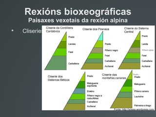 Rexións bioxeográficas
Paisaxes vexetais da rexión alpina

Cliseries
Fonte: http://xosea.wordpress.com
 