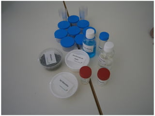 Pais com a Ciência | Ciência Viva