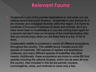  Guatemala s one of the premier destinations to visit when you are
visiting central and south America.. Guatemala is very famous for it
bio diversity and ecological diversity within the region. It is home to
hundreds of thousand of species of plants and animals. So if you
have never been to Guatemala a or you are coming back again for
a second visit don’t miss out on some of the most fascinating sites
that you should enjoy while you are there here is a top 10 list of
them.
 Guatemala's wildlife is contained in nearly 20 different ecosystems
throughout the country. This wildlife fauna includes some 250
species of mammals, 200 species of reptiles and amphibious
creatures, and many different species of butterflies and other
insects. Additionally, these ecosystems are home to some 600 bird
species including the national Quetzal, which can be seen all over
the country. Also included in this list are parrots, toucans,
hummingbirds, oriols, and motmots to name only a few.
 